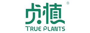 贞植-true plants